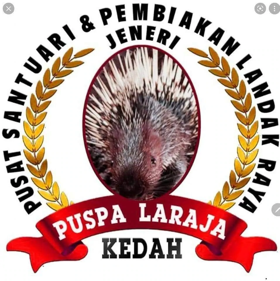 PUSPALARA DUNIA